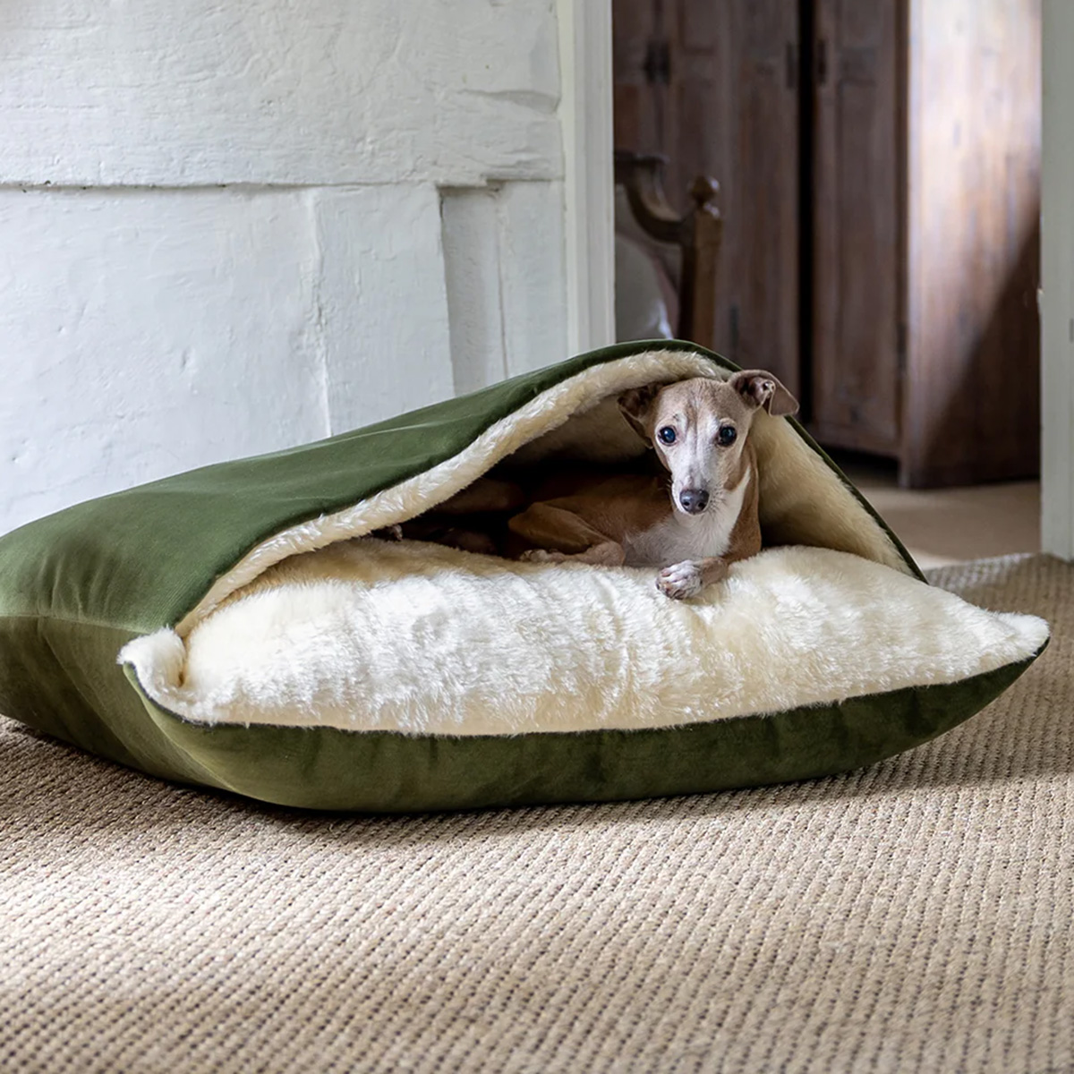 best dog beds