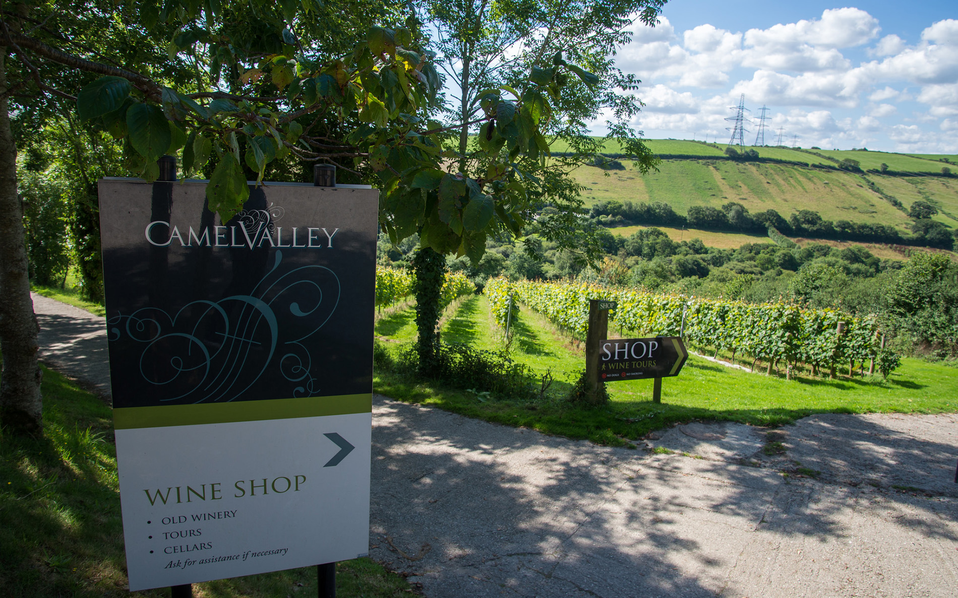english vineyards to visit