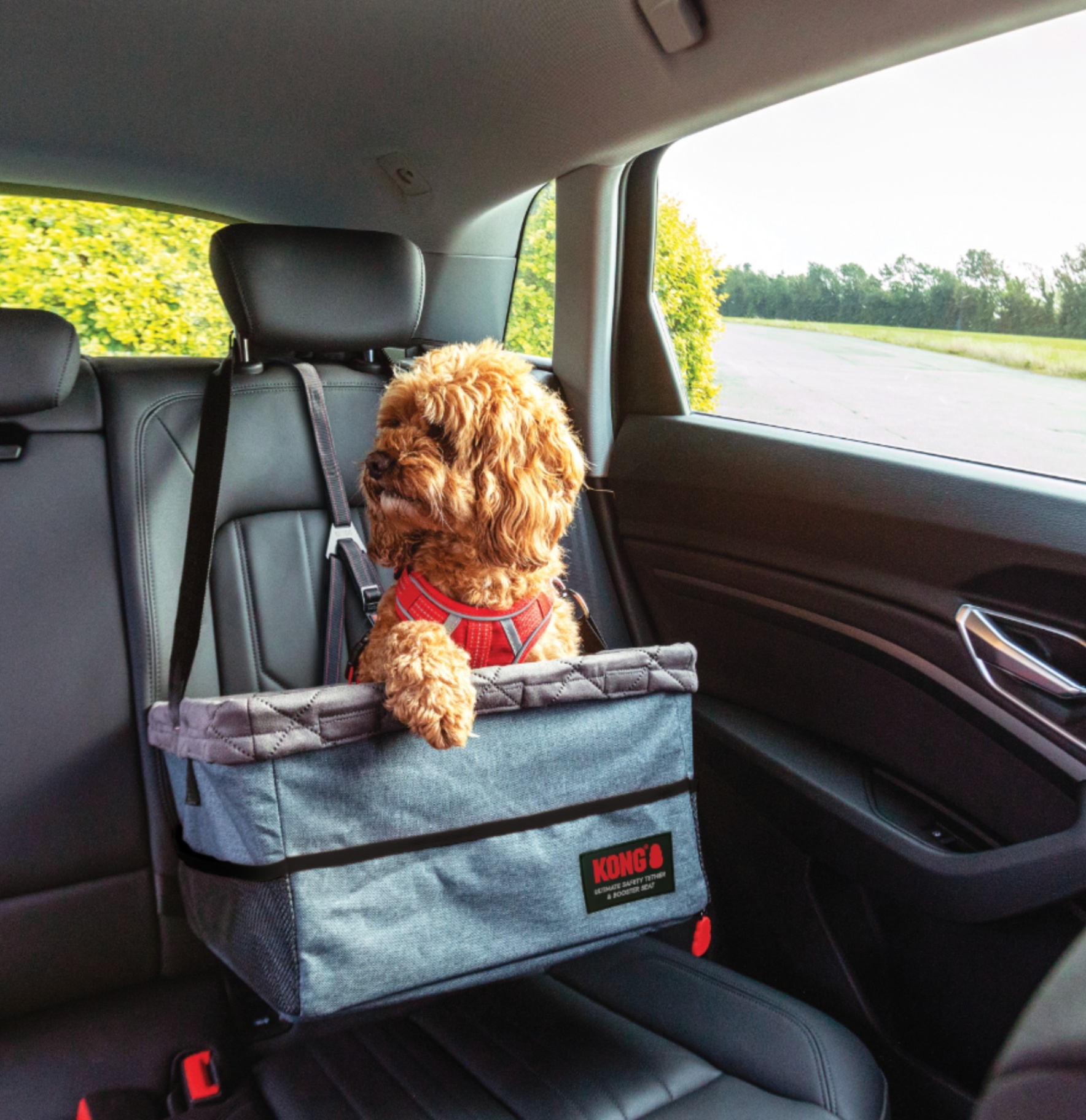 KONG Ultimate Safety Dog Seat Belt Tether and Booster Seat for car pictured with a dog inside