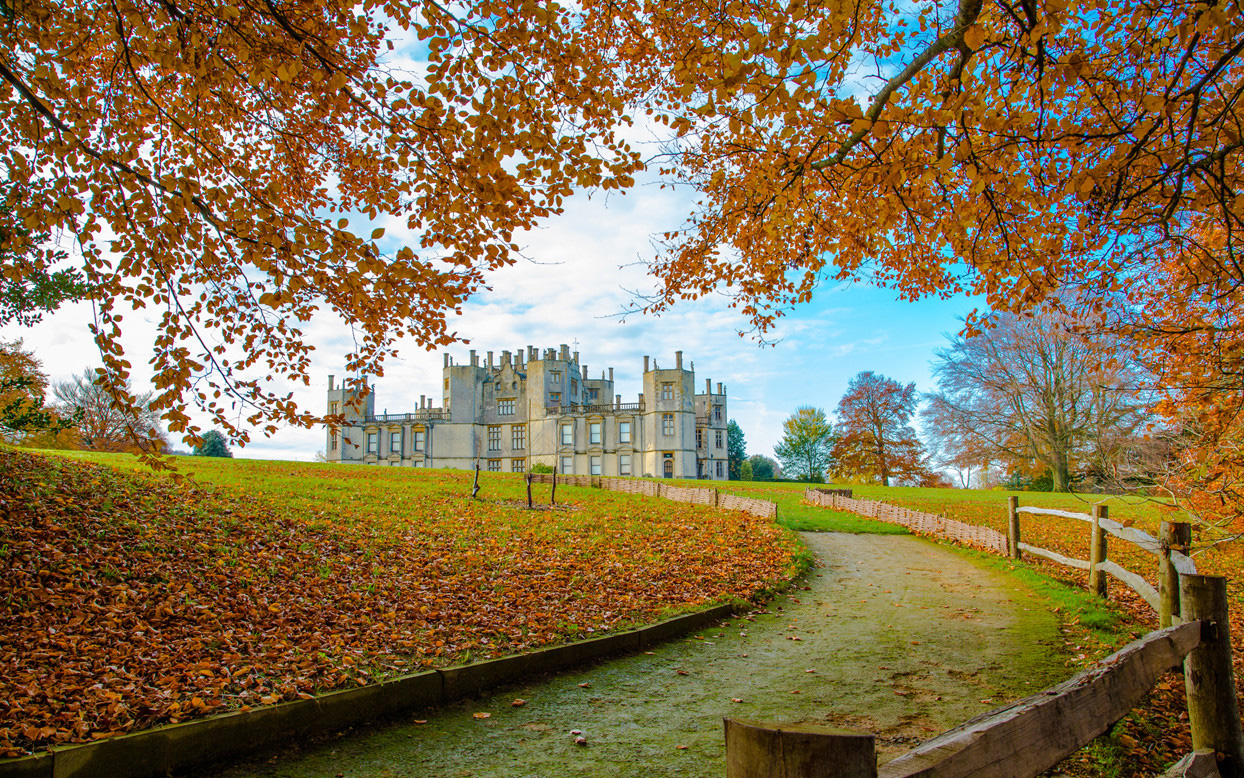 autumn colours