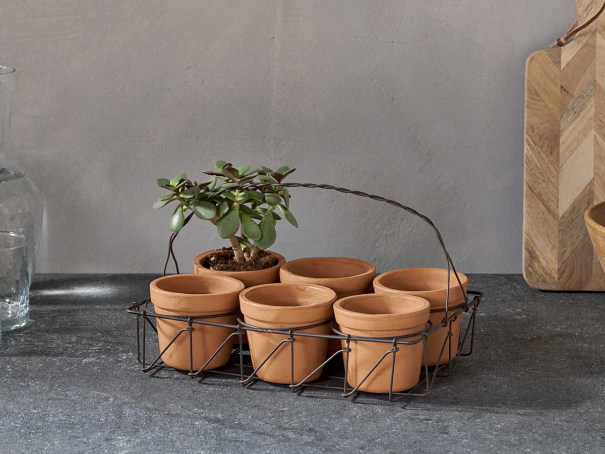best gardening gifts