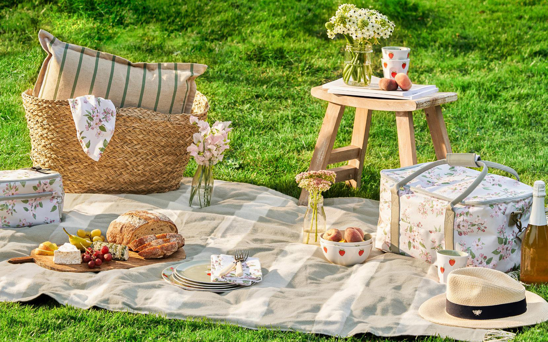 picnic