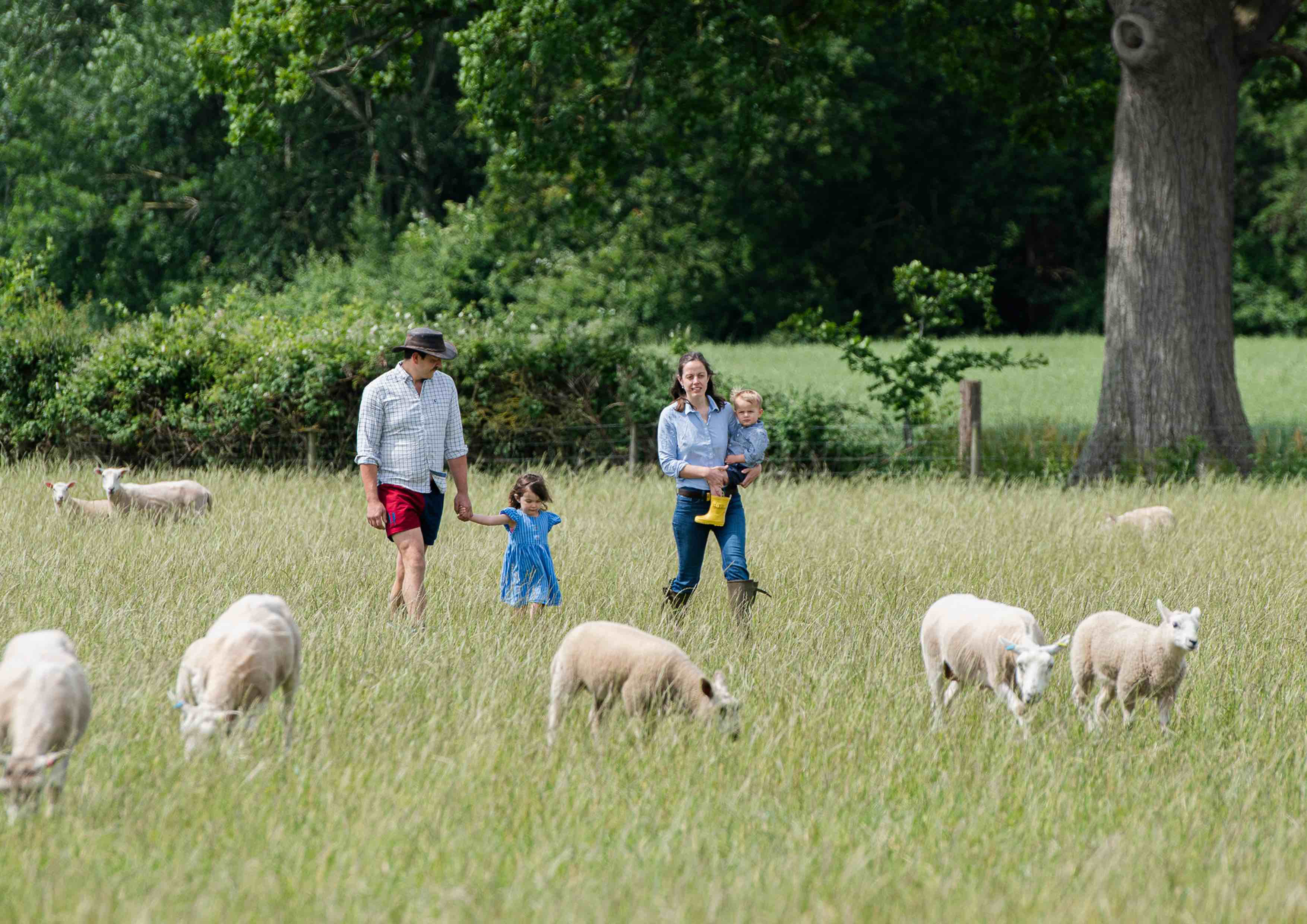 British sheep farmer and his family in the field with their flock
