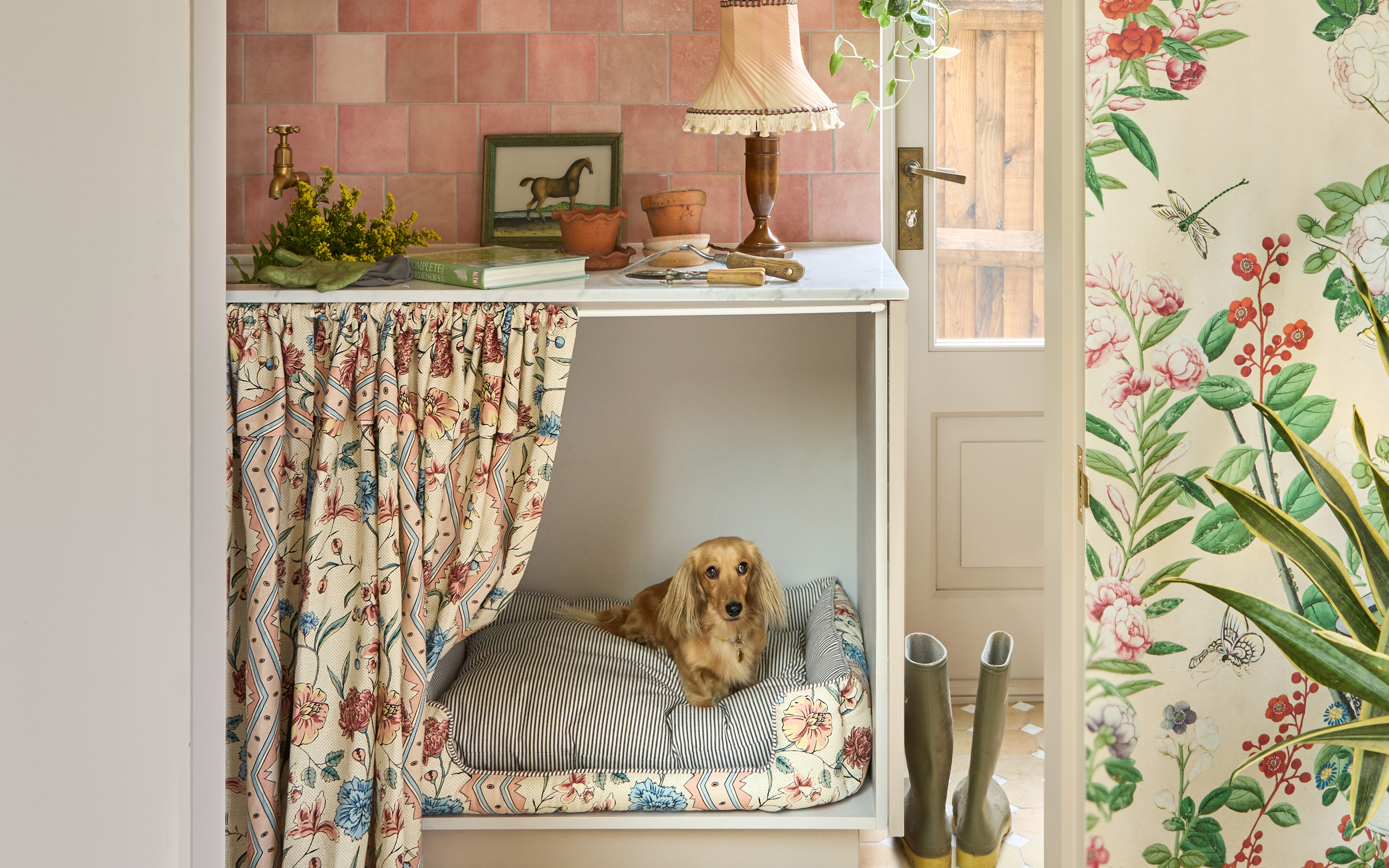 dog pictured cooling off in a cupboard with a beautiful curtain
