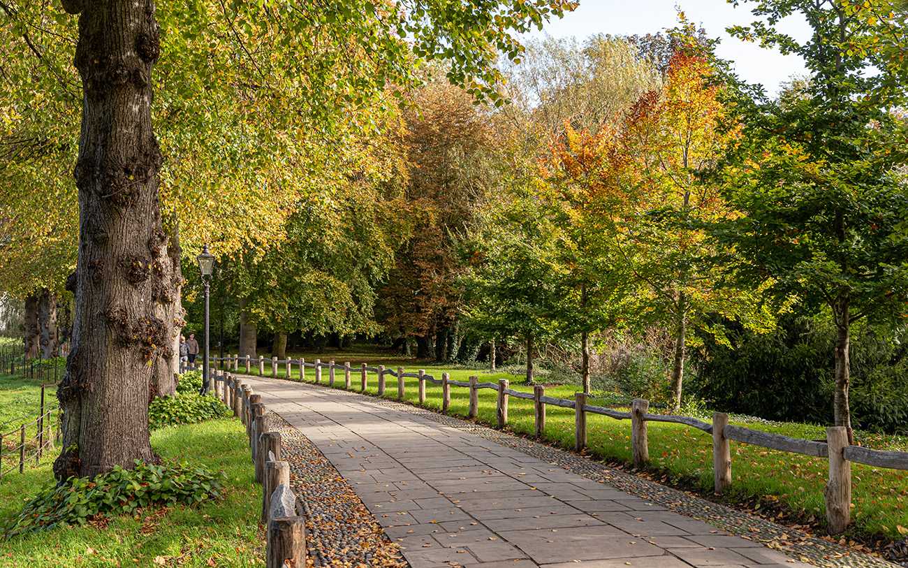 AUTUMN COLOURS