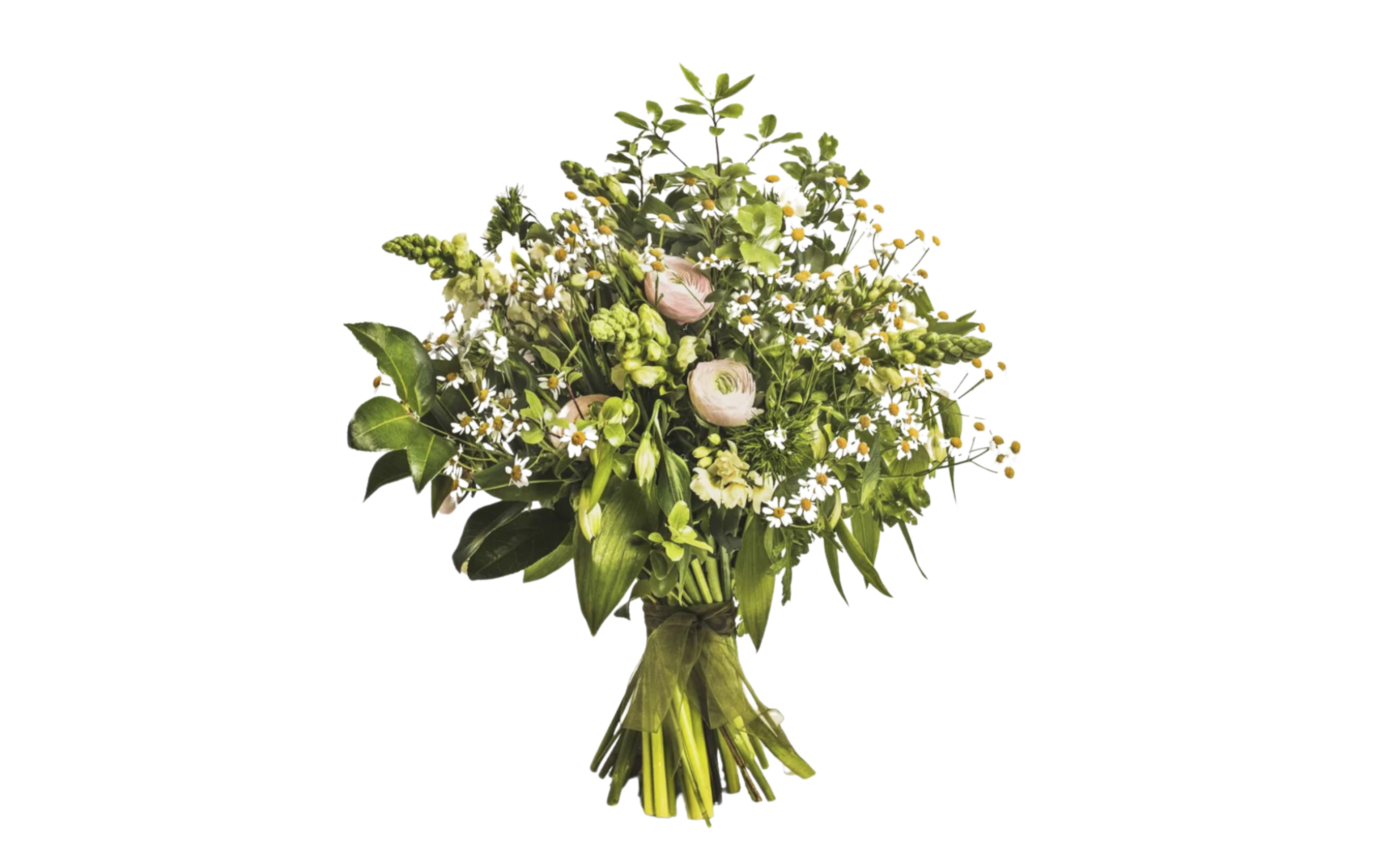 BEST GARDENING GIFTS