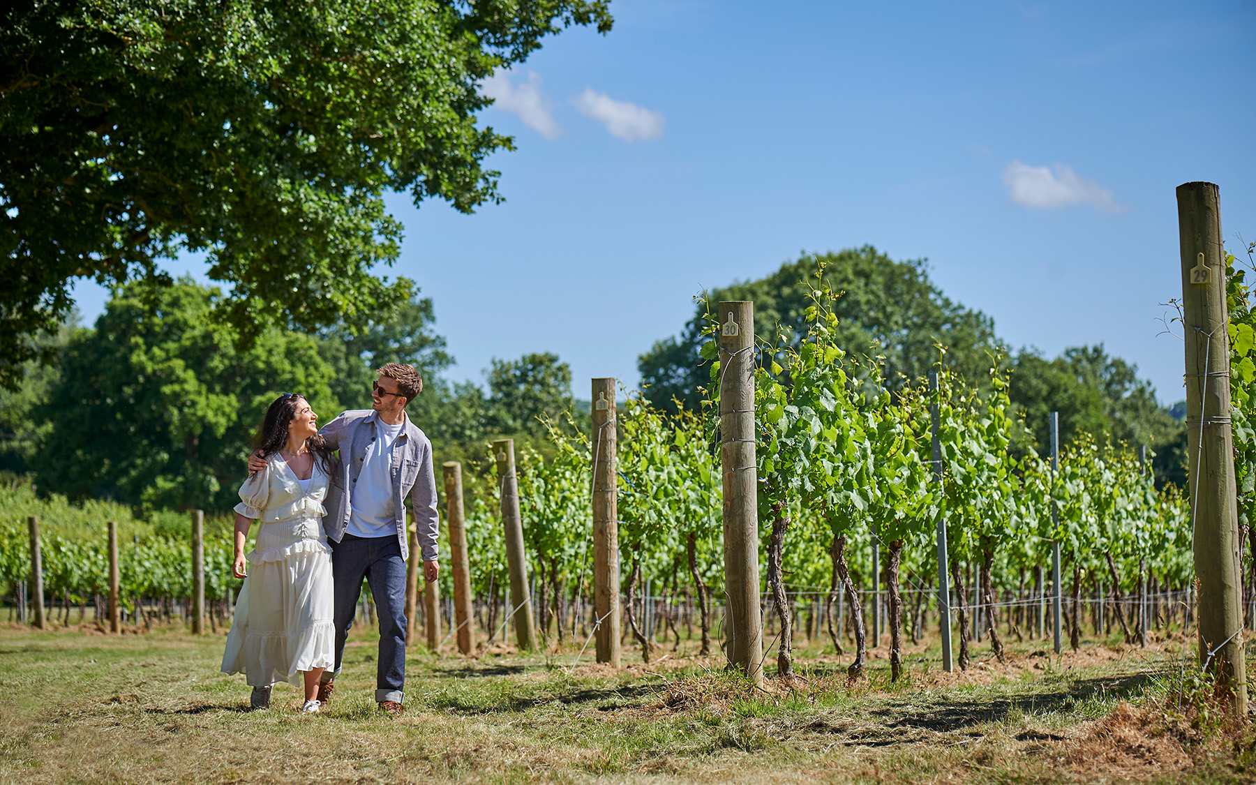 english vineyards to visit