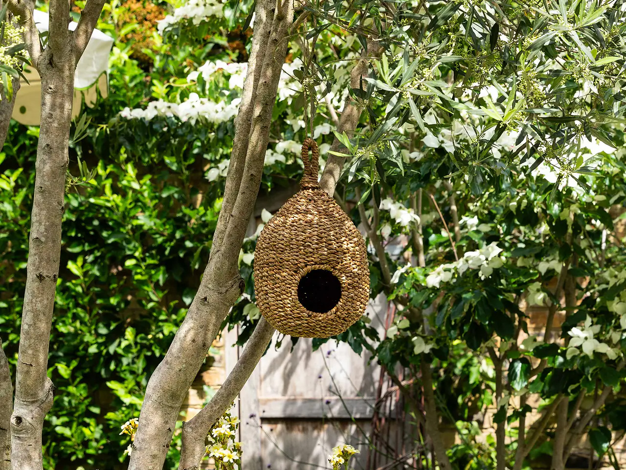 best gardening gifts