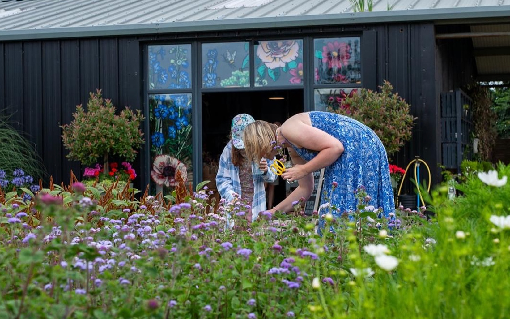 flower fields to visit