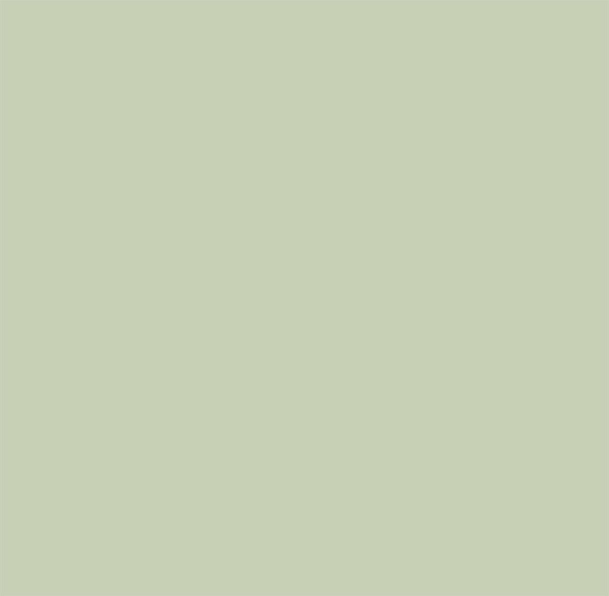 Edward Bulmer Natural Paint