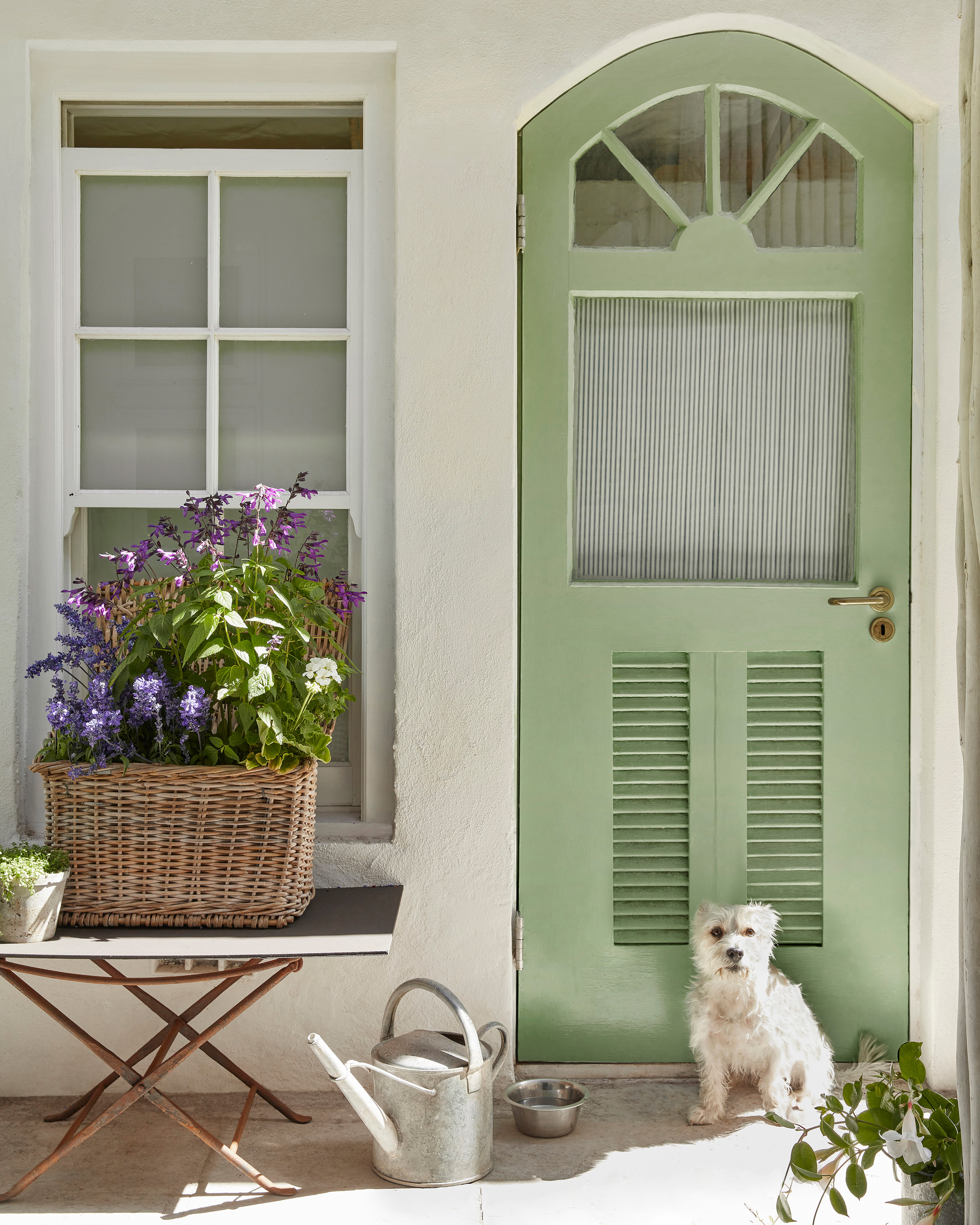 a pale green front door on a white house, a white dog sat by the door, a folding table with a wicker basket full of fowers and a metal watering can