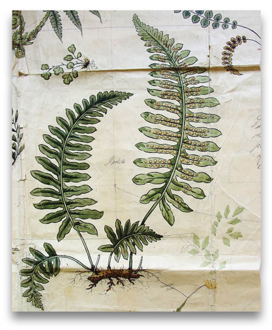 english fabrics