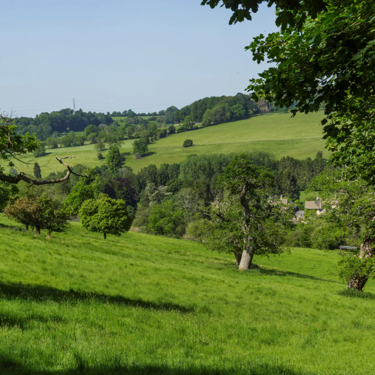 Rendcomb park estate grounds pictured the vast green open spaces deer park