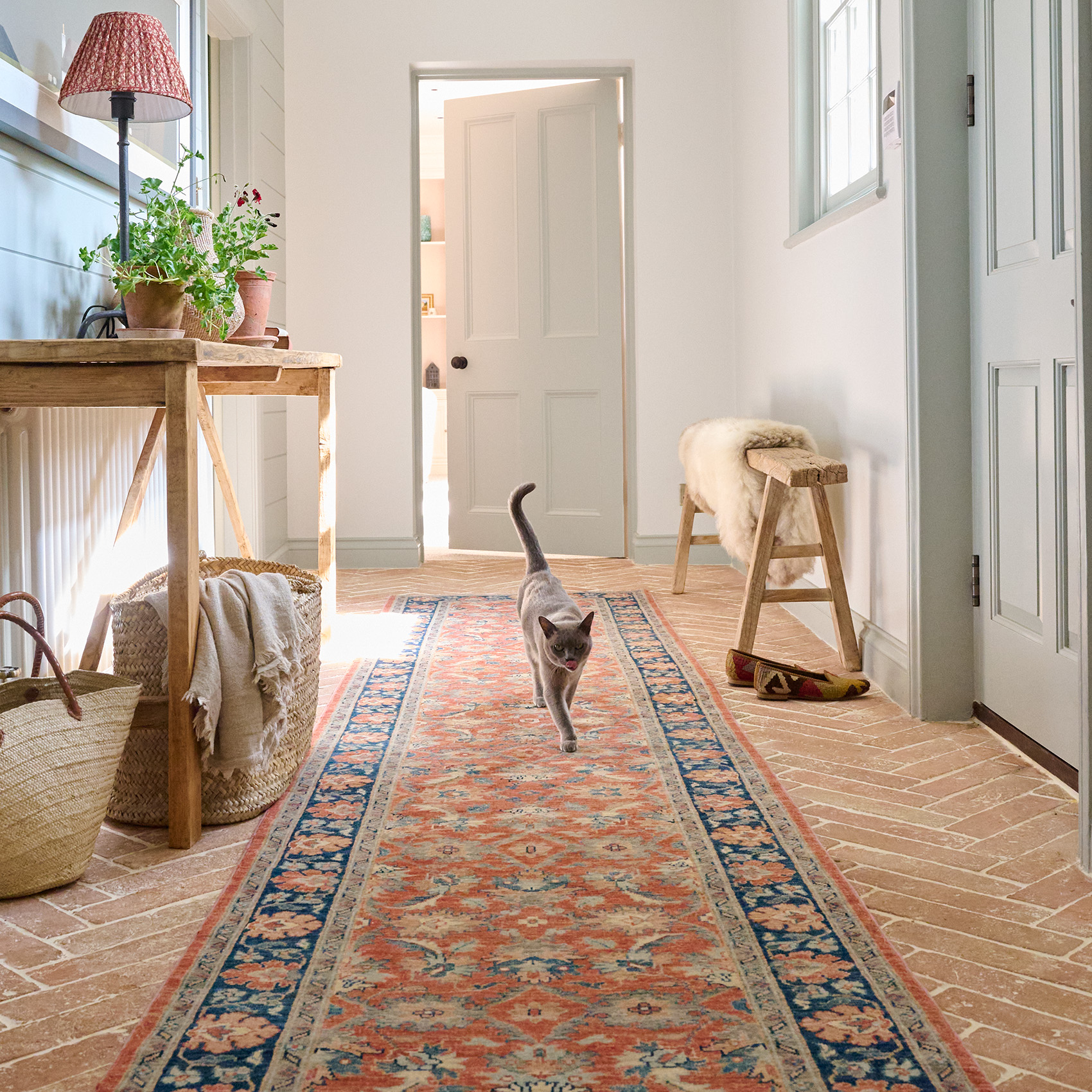 rugs