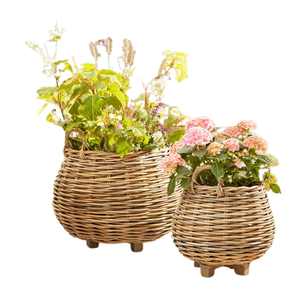 set of 2 beige rattan plant pots with flowers inside