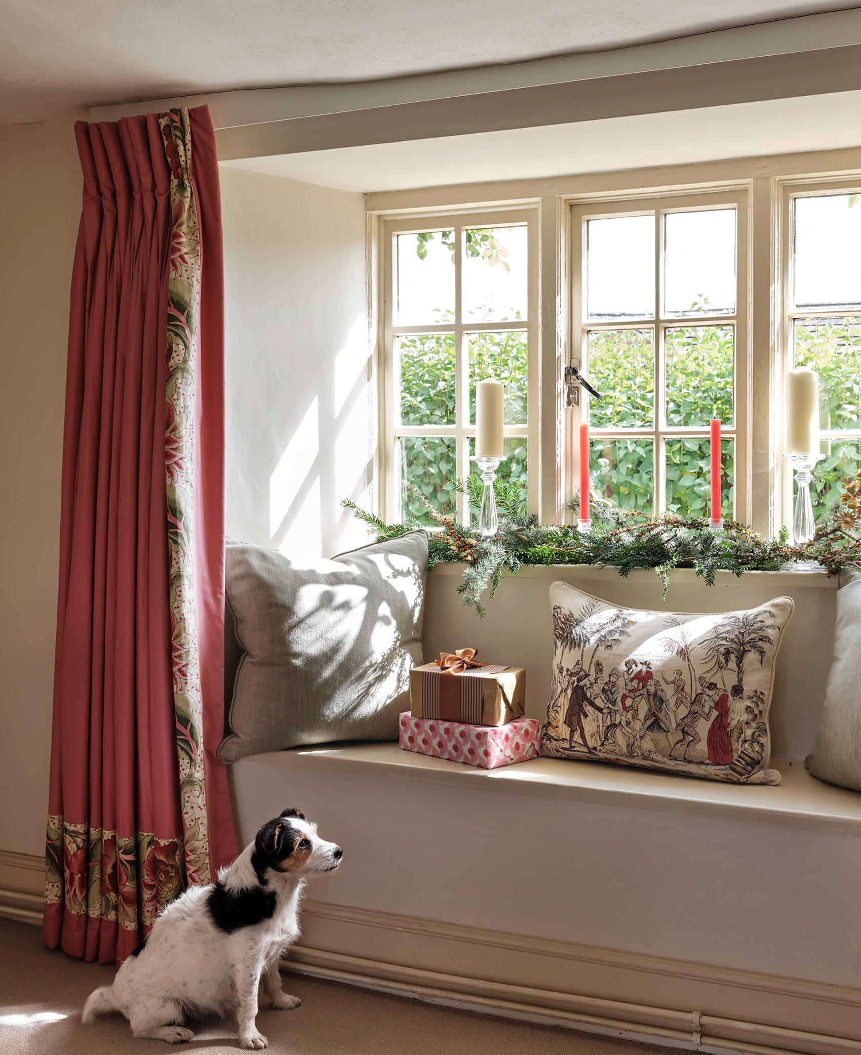 Henrietta Balmain house dog