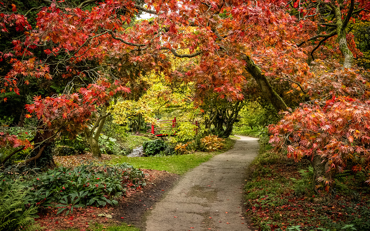 Batsford Arboretum, Gloucestershire