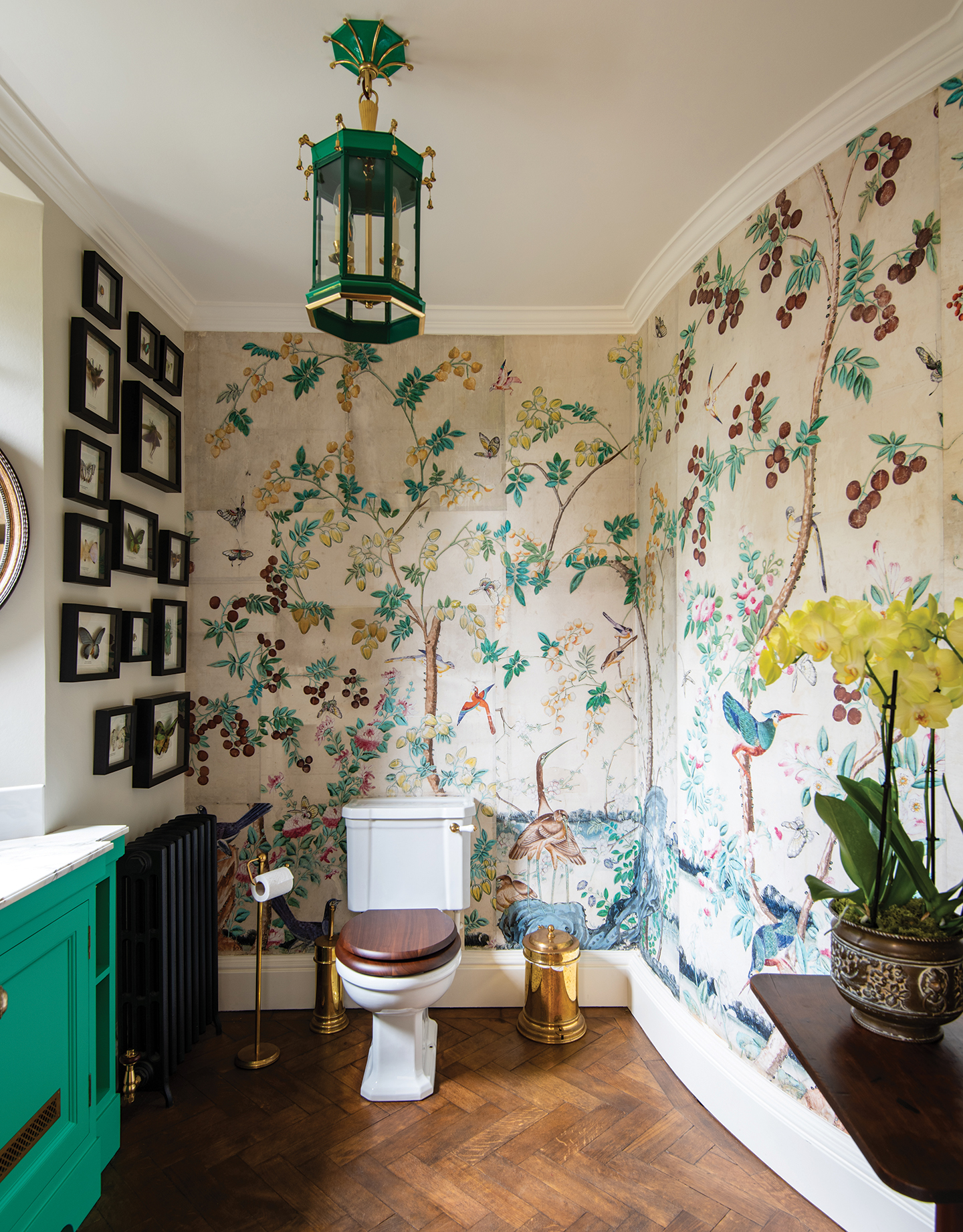 a small toilet with parquet wood floors, a botanical mural-style wallpaper, a framed collection of butterflies hangs on the wall, a green lantern pendant light hangs above the traditional-style toilet.