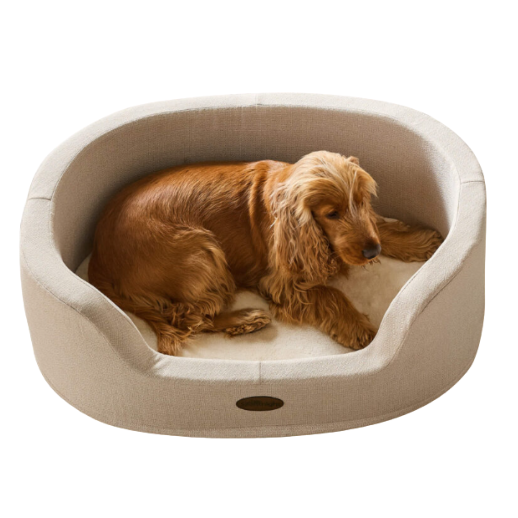 a cream high sided oval dog bed with a red spaniel inside