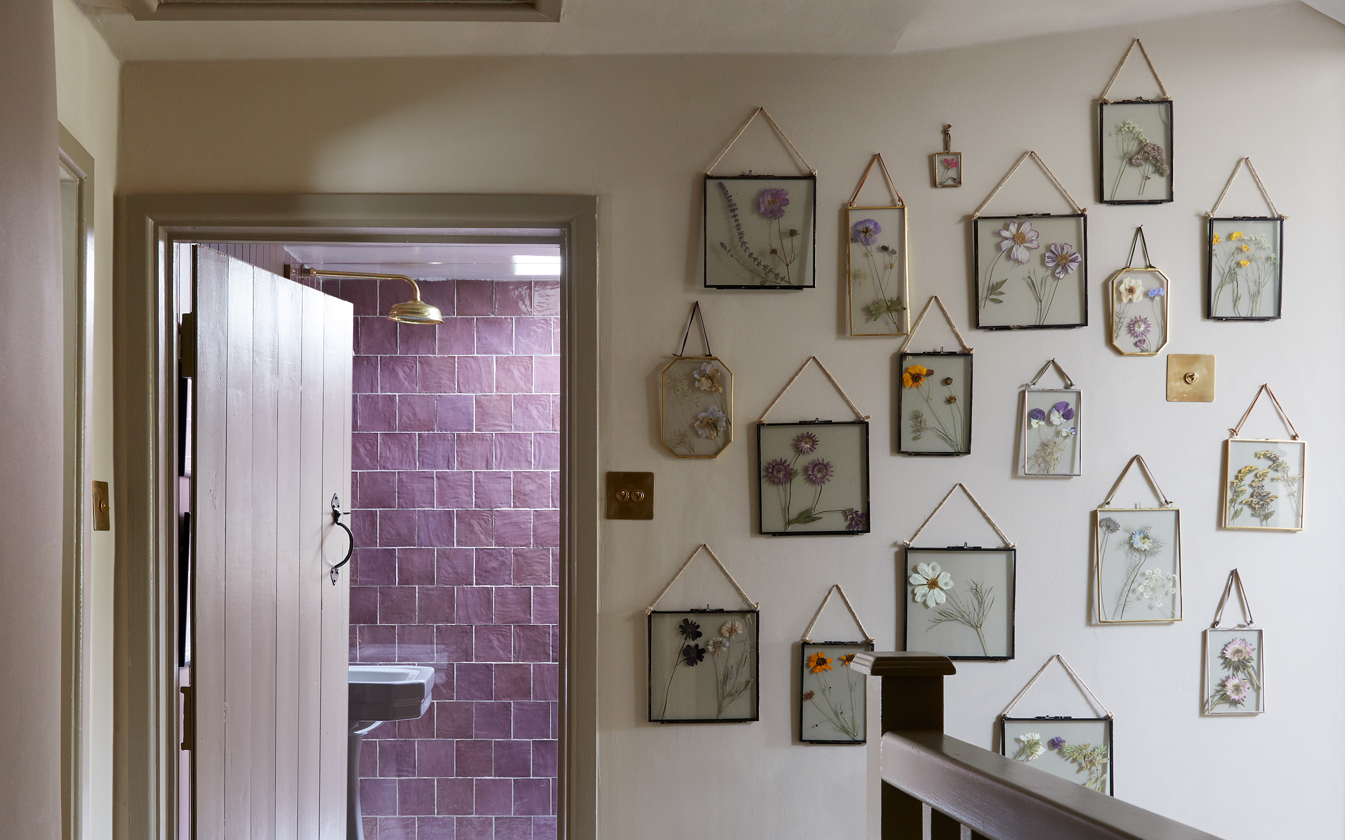 pressed flower wall gallery