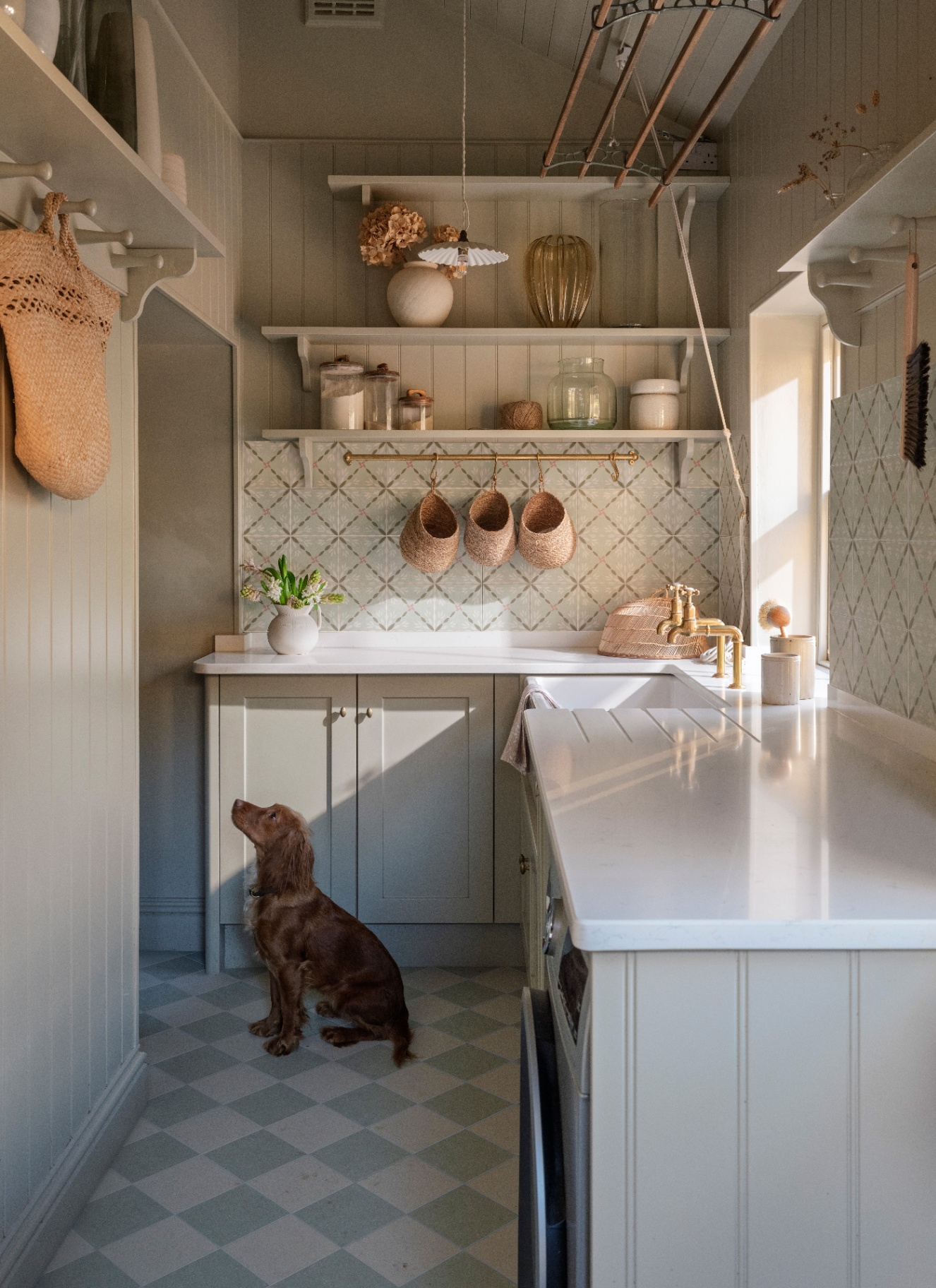 a grey utility room with a spaniel sitting on a checkerboard floor, patterned wall tiles and open shelving with a gold rail under it with three hanging baskets
