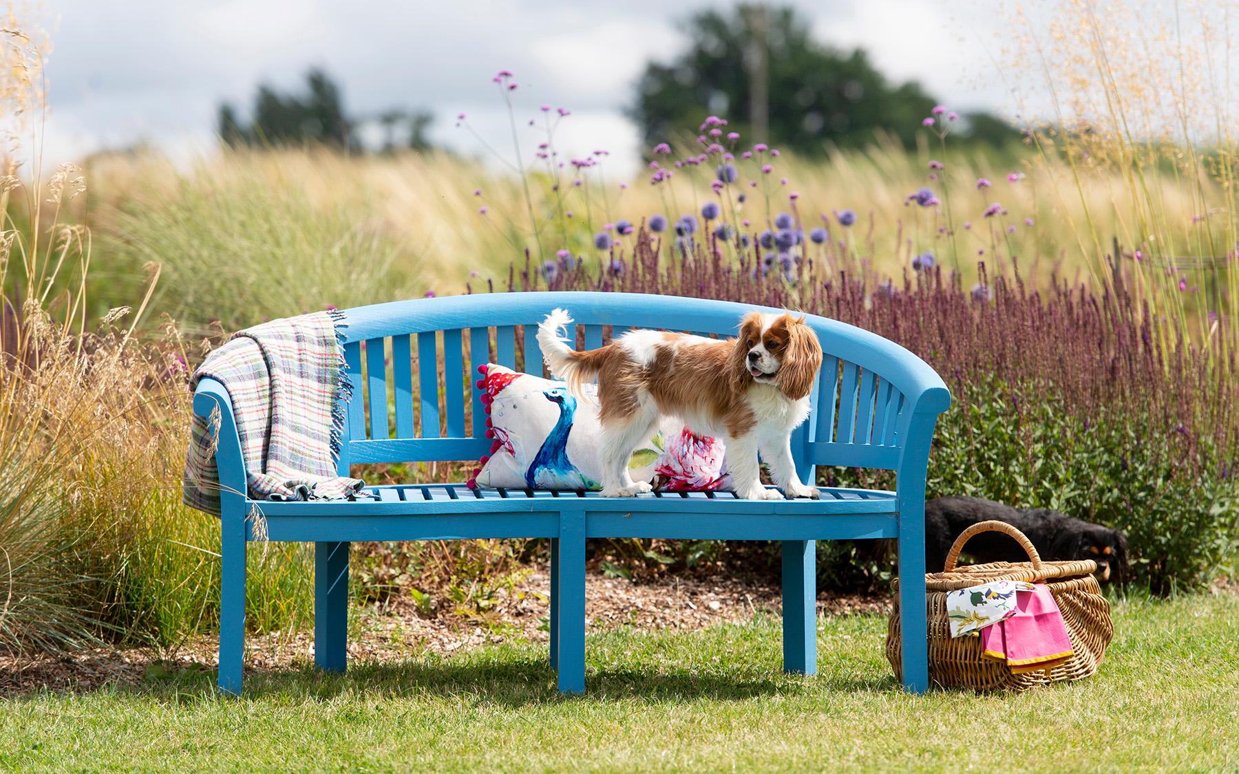 how to care for garden furniture