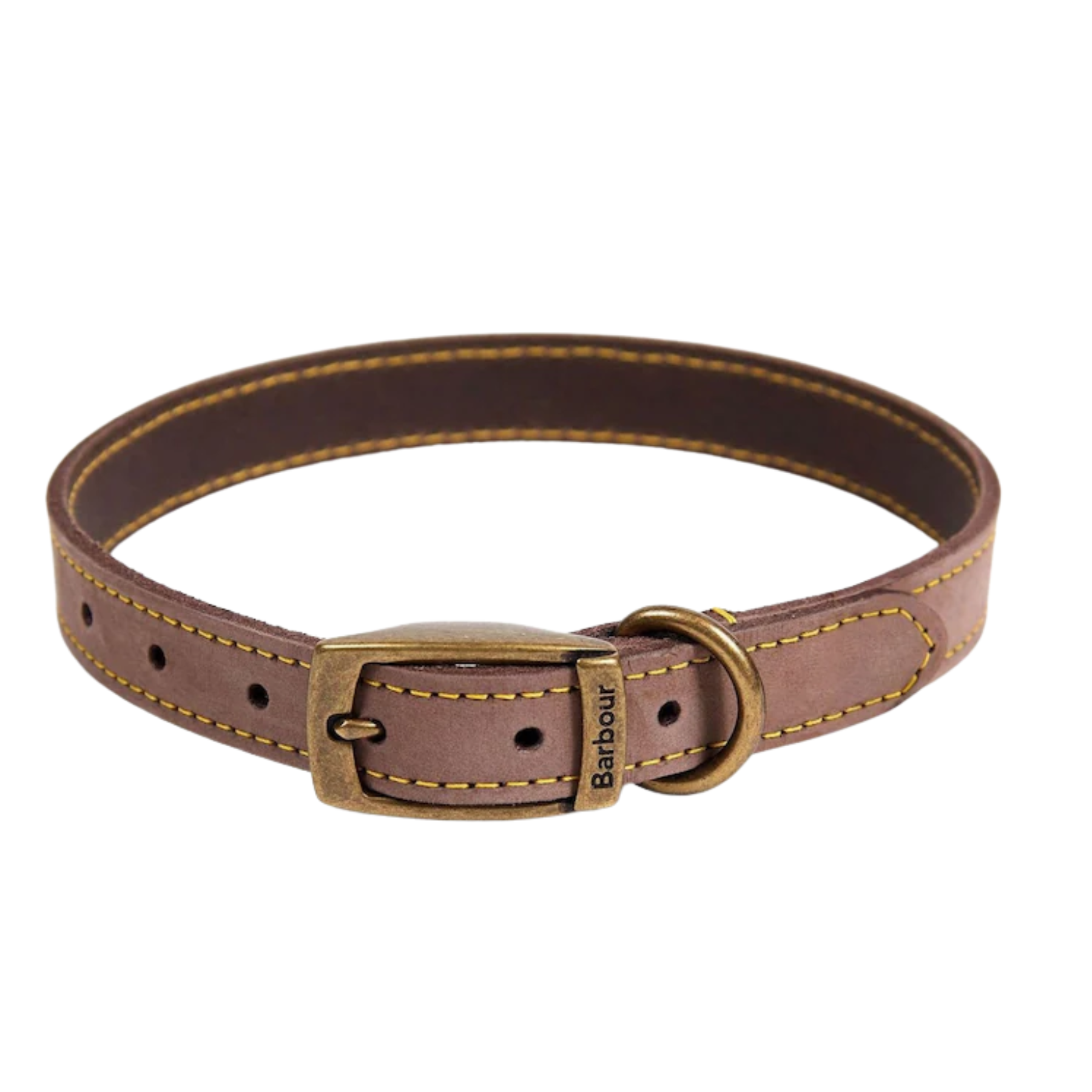 a light brown leather dog collar with yellow stitching and brass hardware