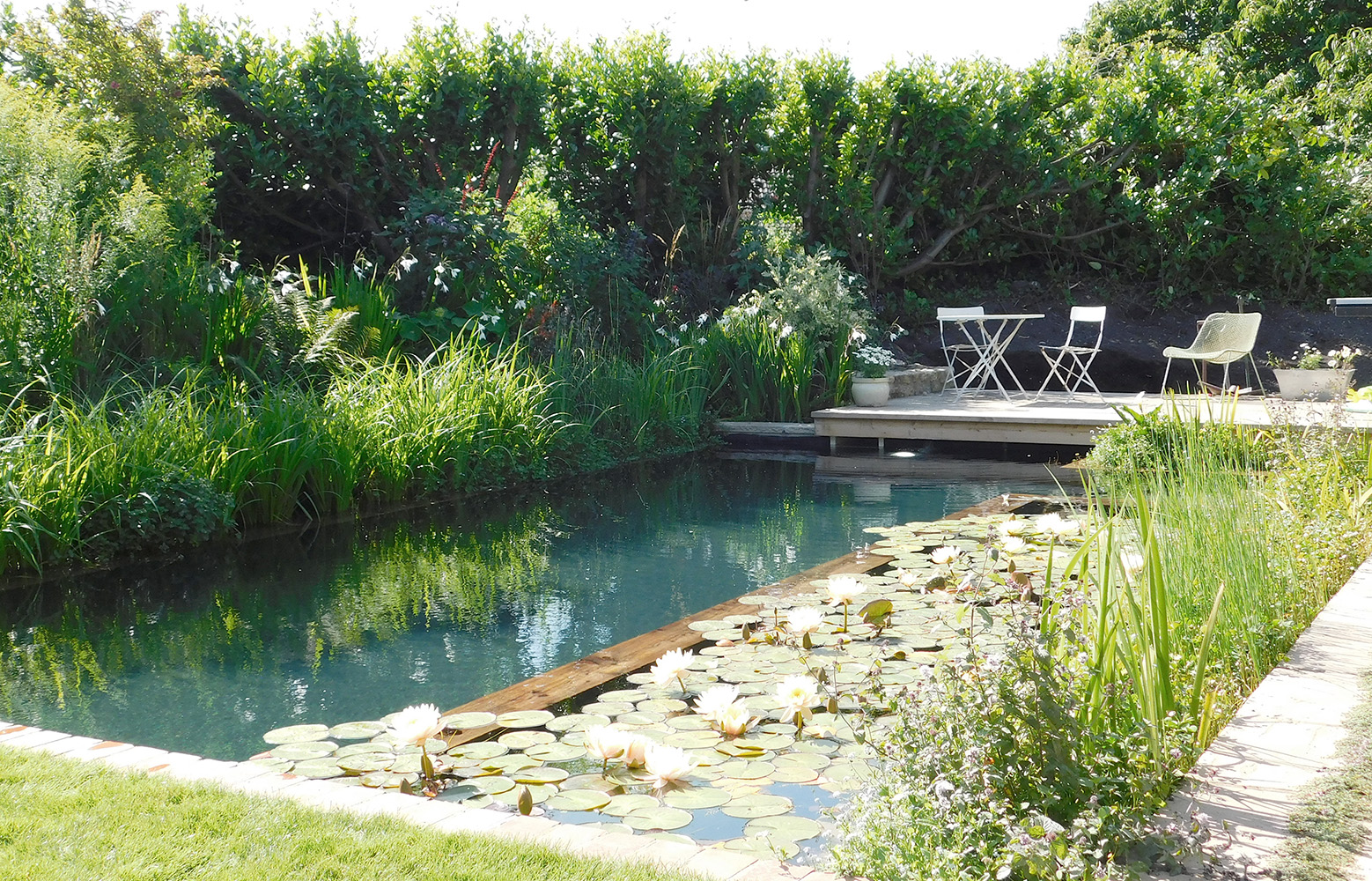 natural pool