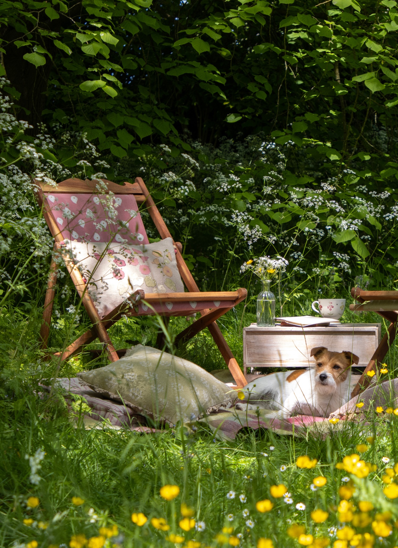 a garden with a pink patterned deckchair, a picnic blanket with cushions and a jack russell laying down with grass and buttercups surrounding the set up