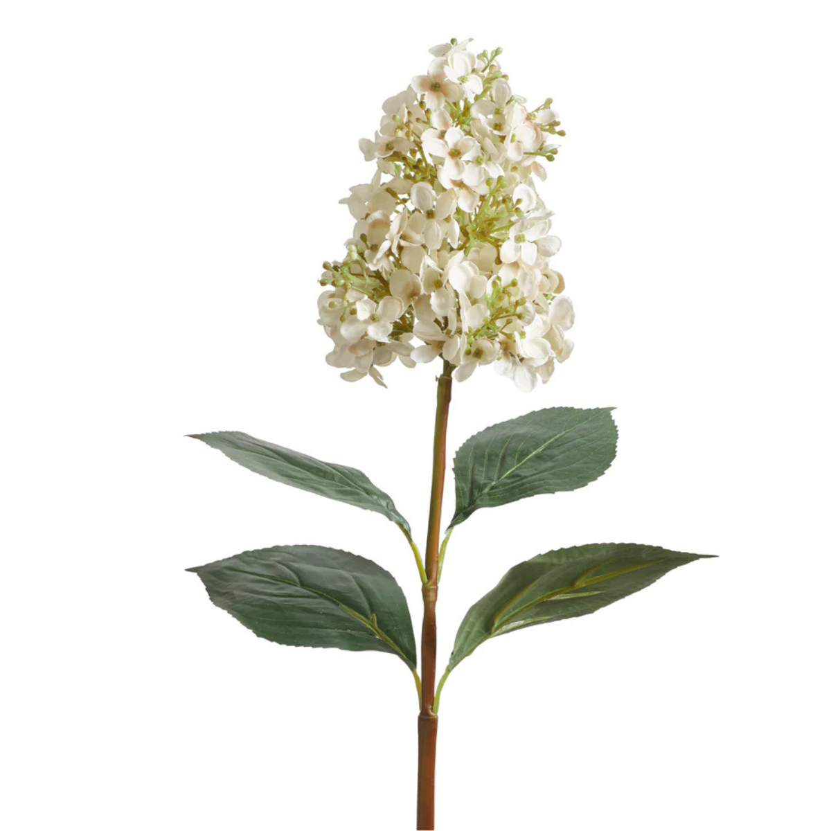 a faux white Hydrangea Paniculata Stem with green leaves