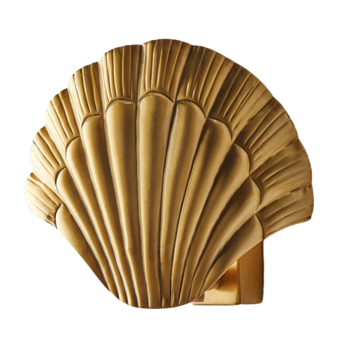 gold shell sconce