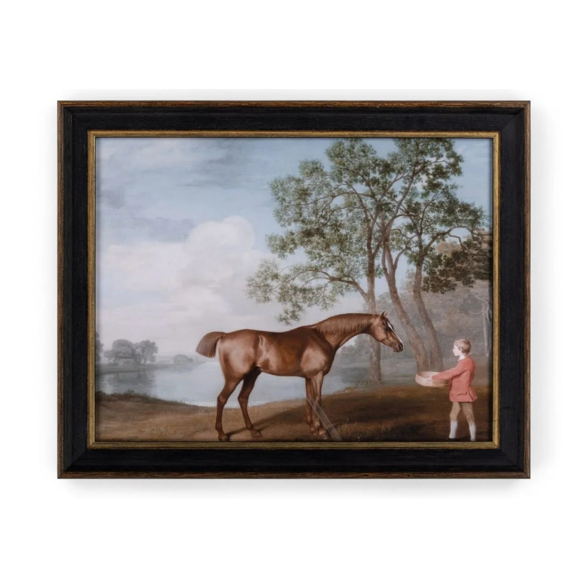 horse homeware