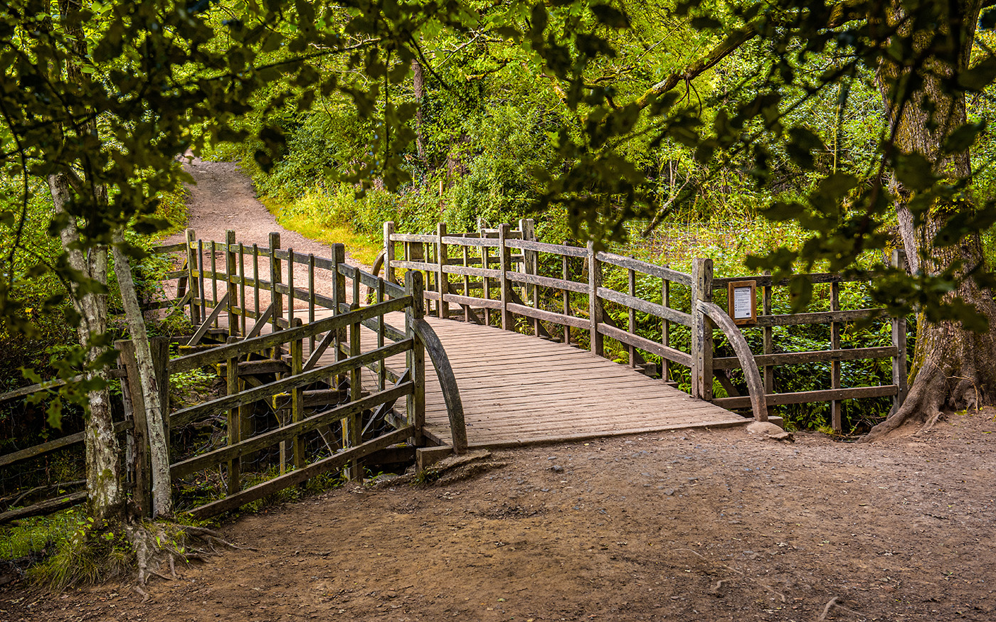 pooh bridge
