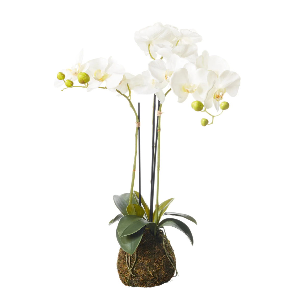 a white faux potted orchid