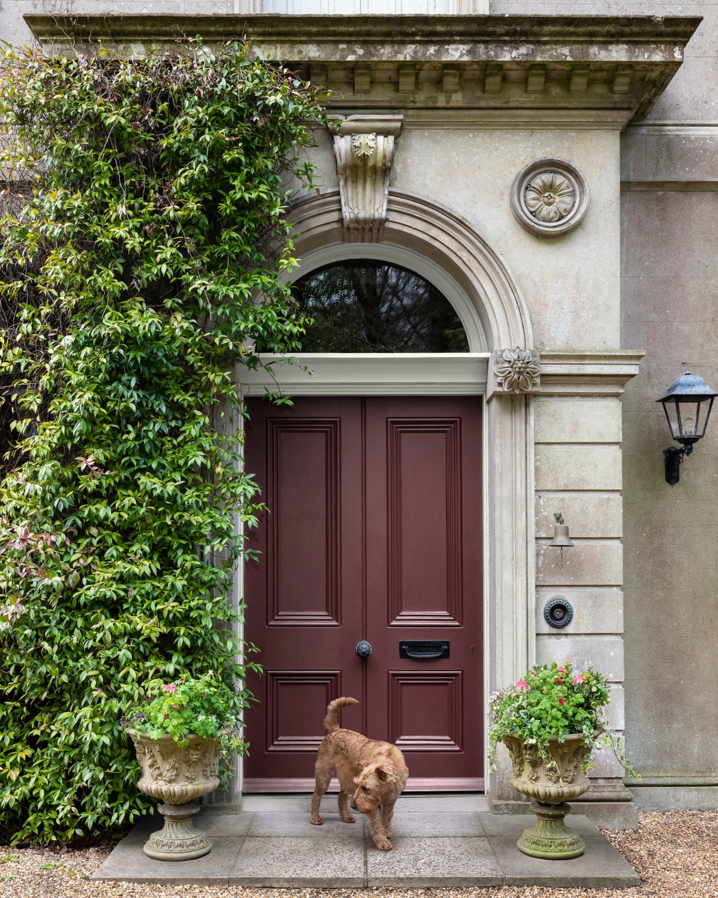 a dark green front door with an ornate stone surround, two large urn pots either side, a small terrier dog in front of the door and trailing greenery around the arch