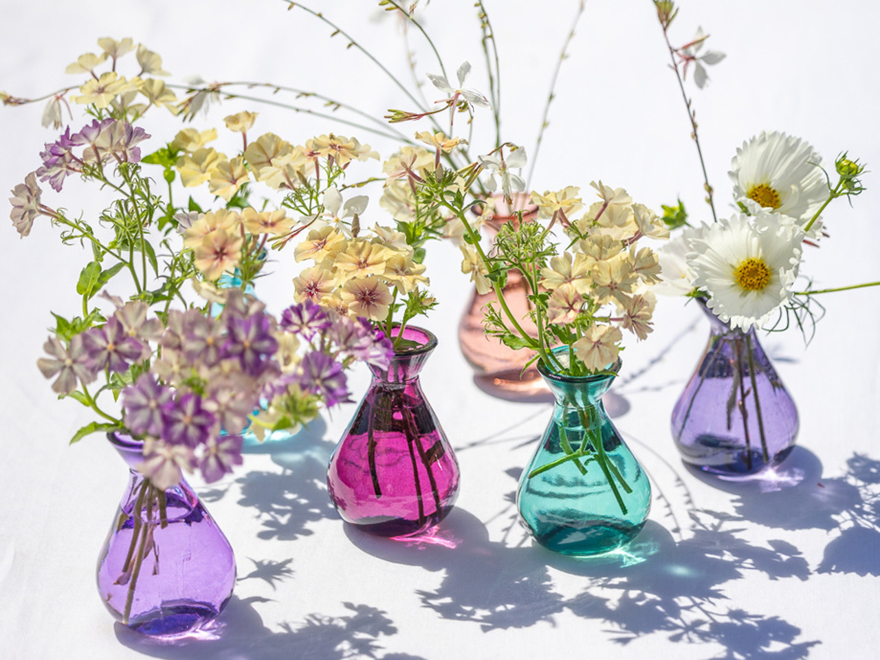 SPRING FLOWERS