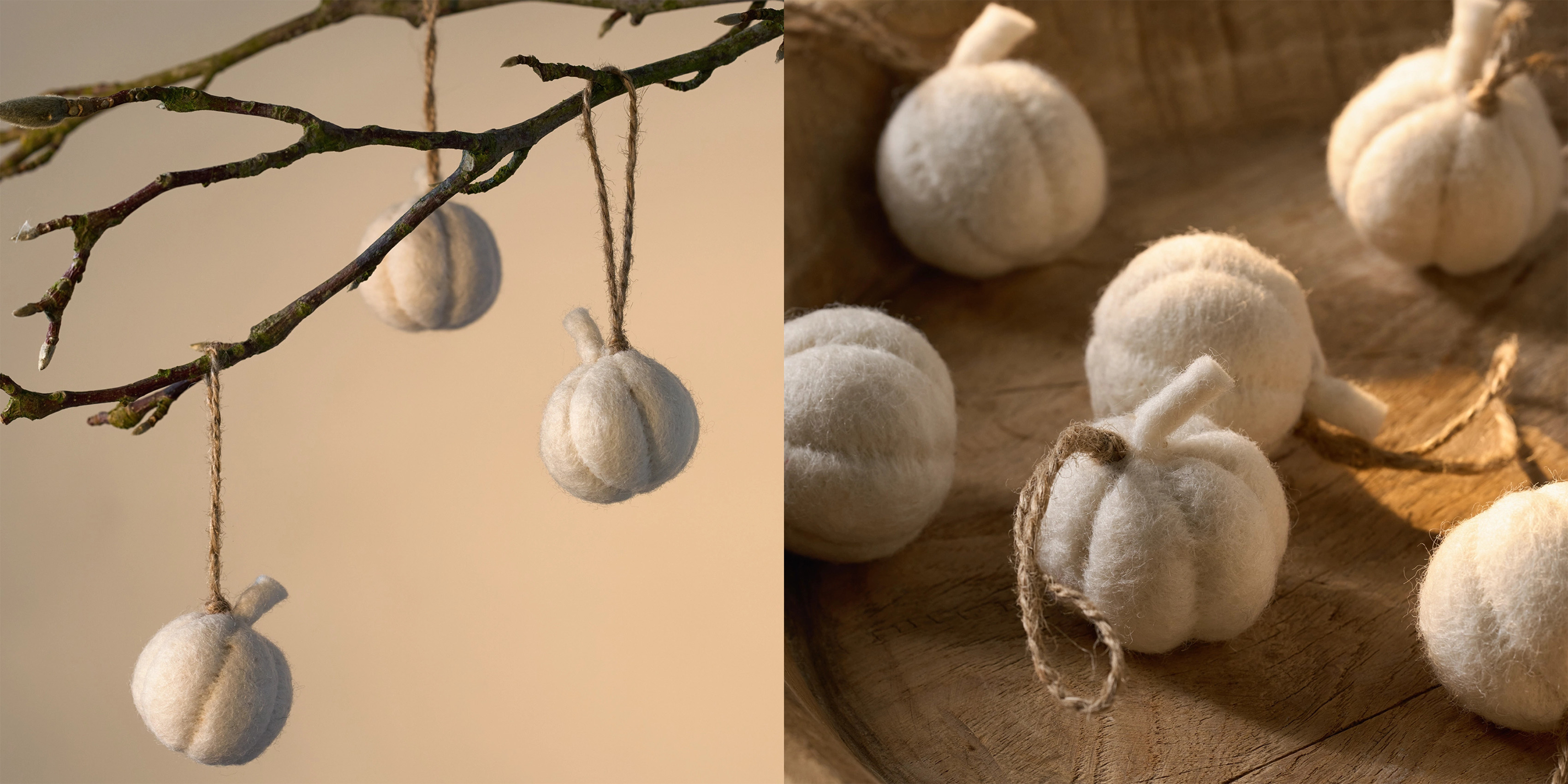 autumn decor