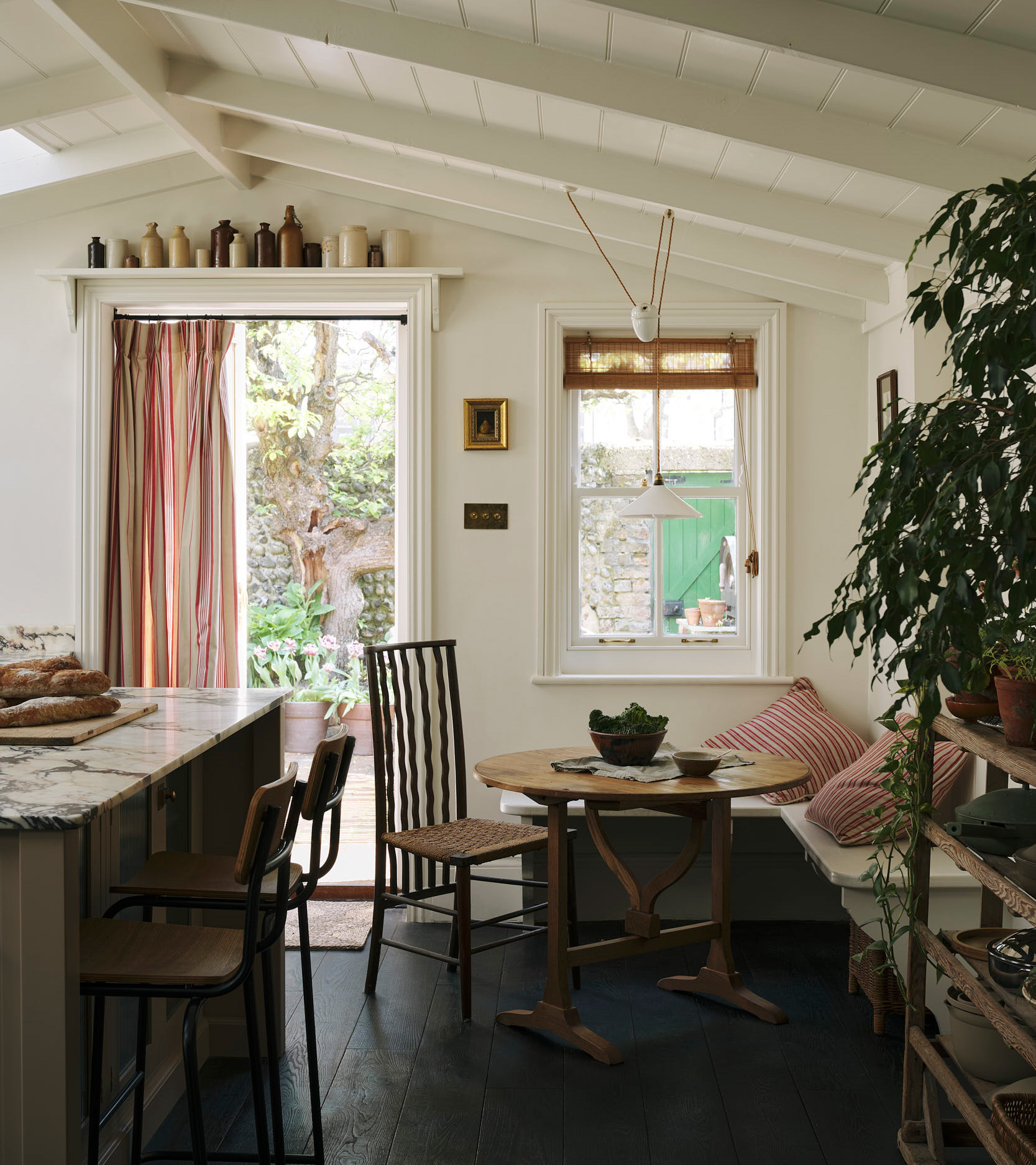 kitchen with plants