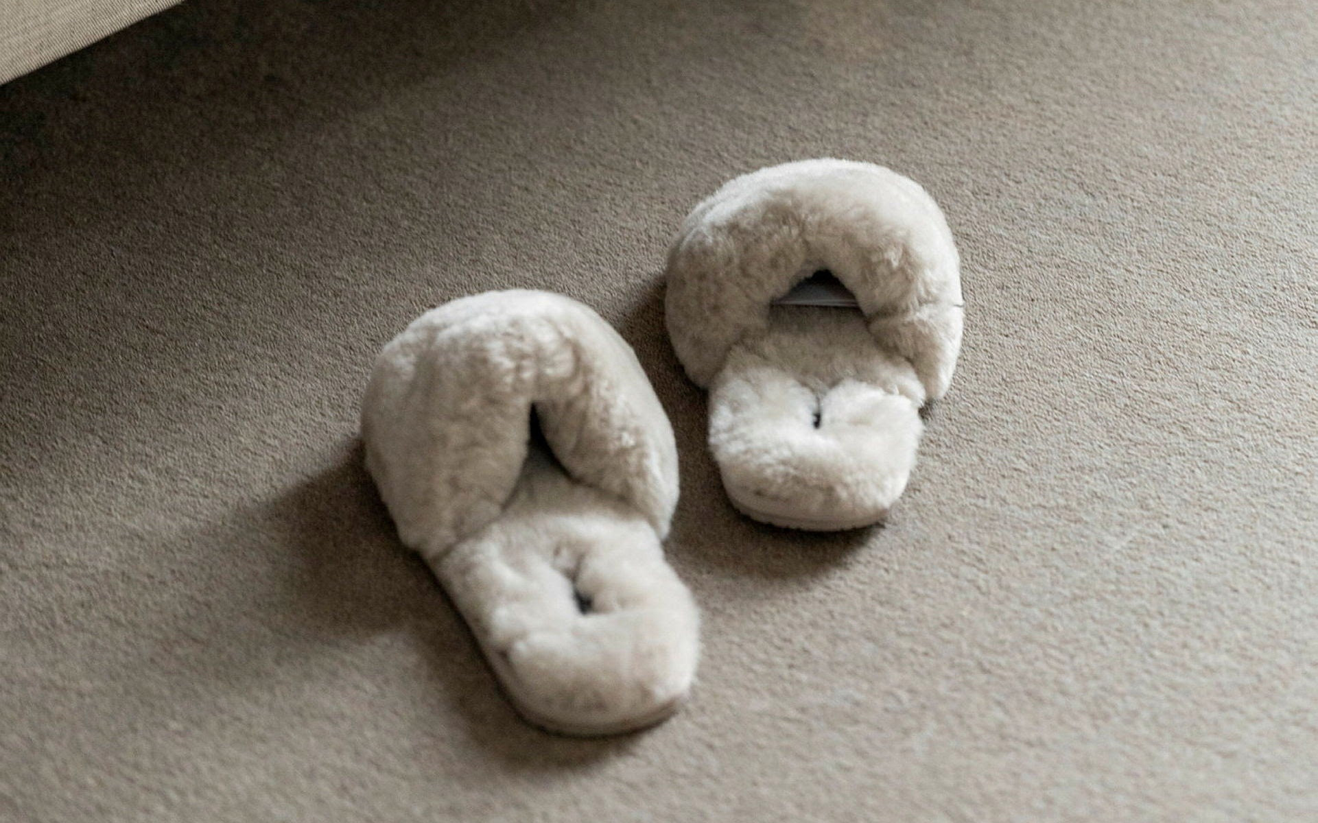 carpe diem slippers